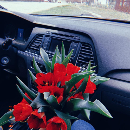 Люся Назаровa