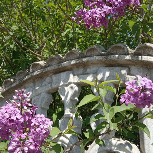 Фаина Мухинa