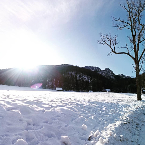 Тамара Васильєв