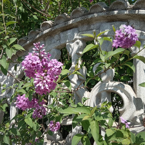 Тамара Сухановa