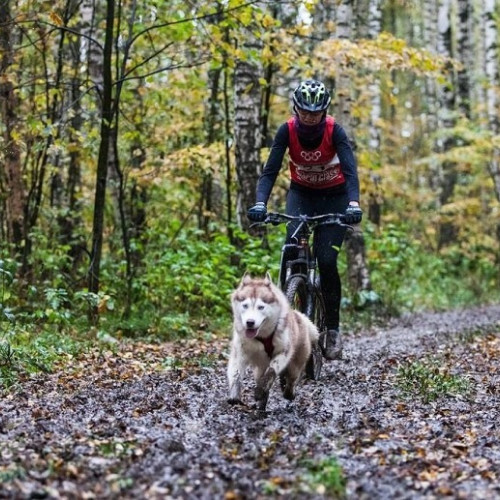 Лариса Захаровa