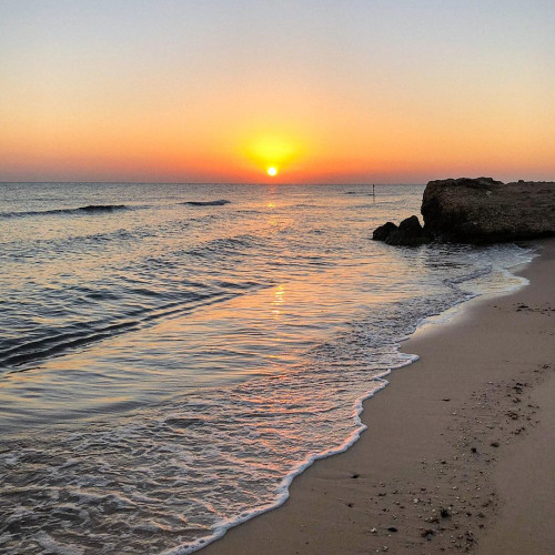 Алина Семёновa