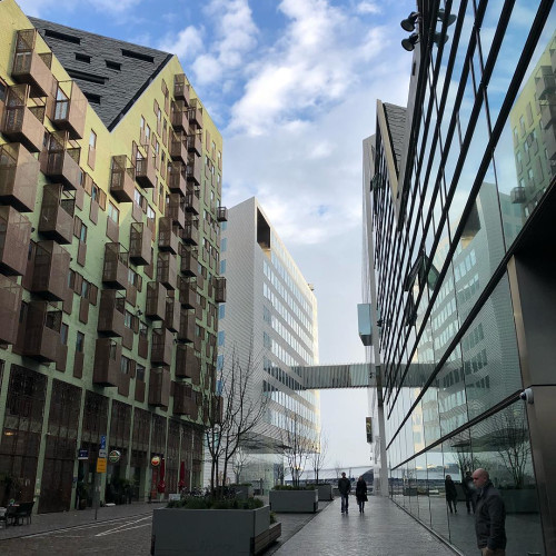 Александра Архиповa