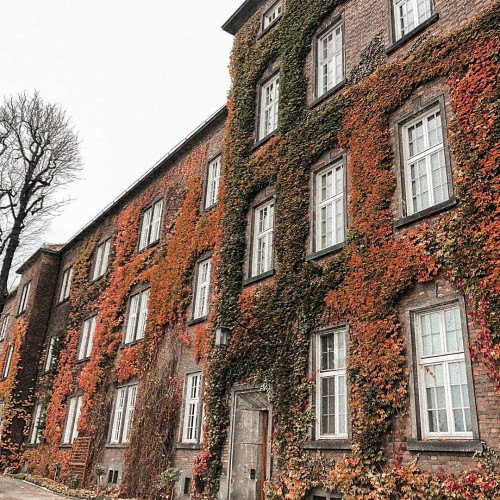 Лилия Владимировa