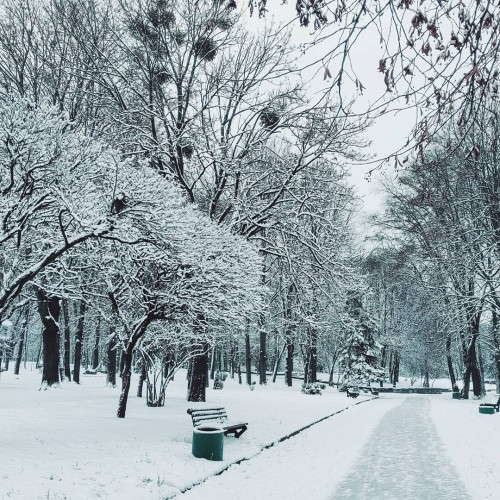 Ольга Шевченко