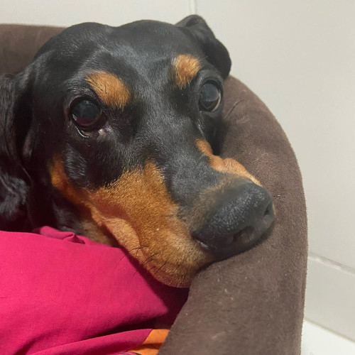 Евгения Кудряшовa