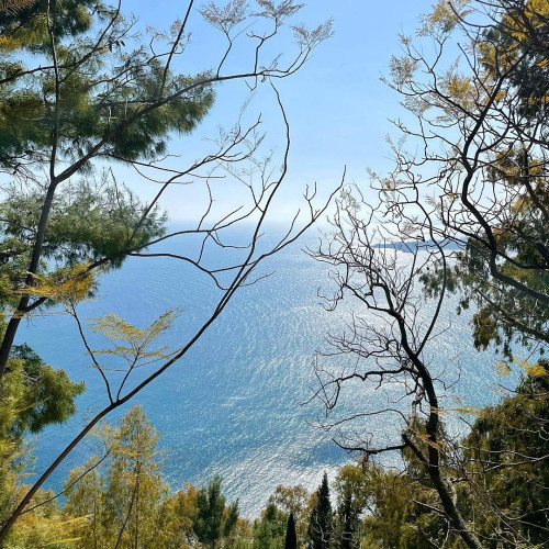 Тетяна Шевченко