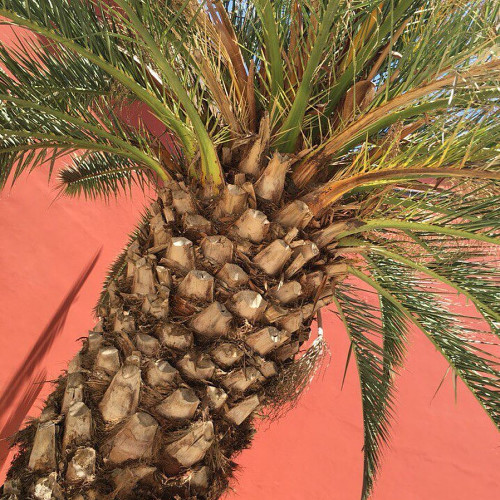 Тамара Іванченко