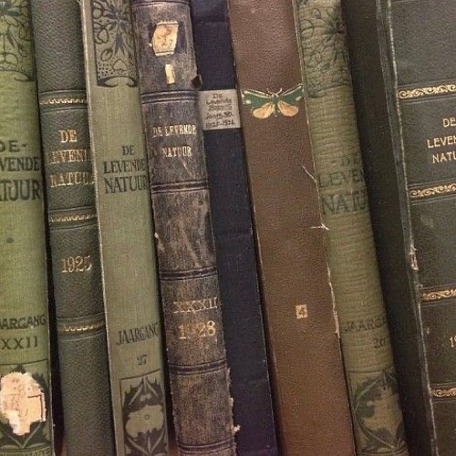 Светлана Поляковa