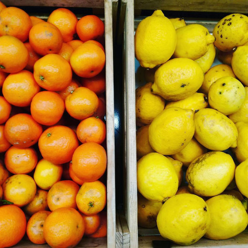 Злата Зыковa