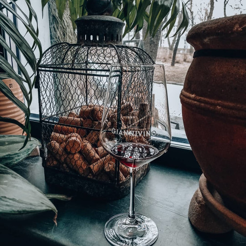 Олеся Никифоровa