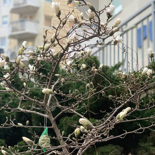 Наталья Горбачёвa