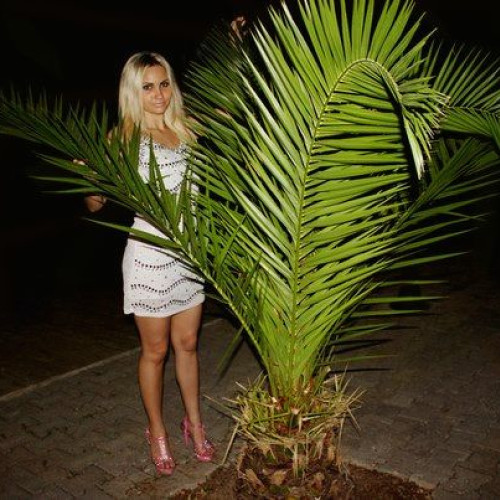 Орынша Кунту