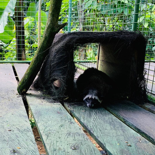 Маргарита Борисовa