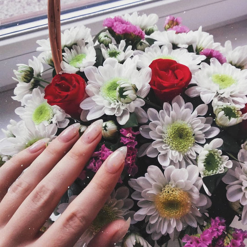 Рената Беловa