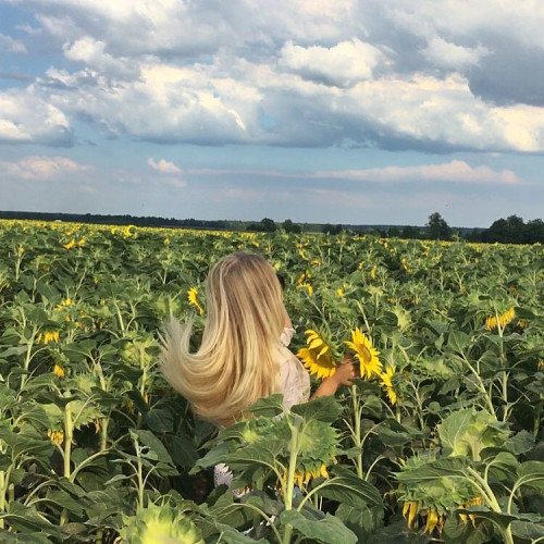 Зылиқа Ғизат