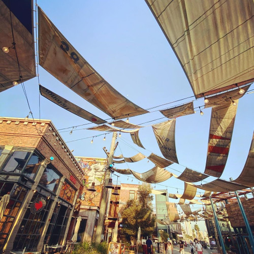 Євгенія Павлюк