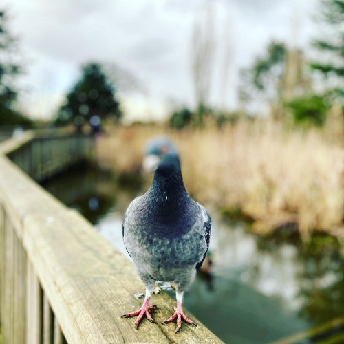 Любовь Ефремовa