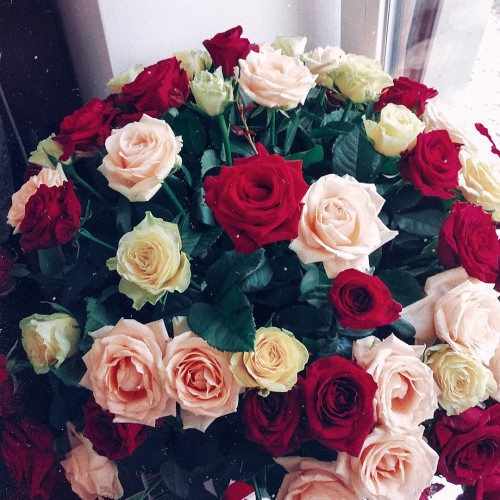 Розалина Сидоровa