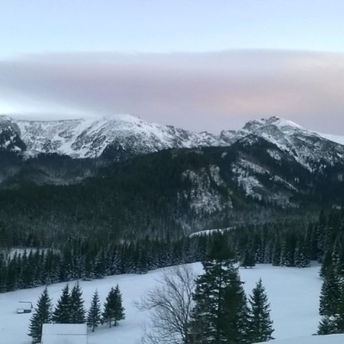 Поліна Боднаренко