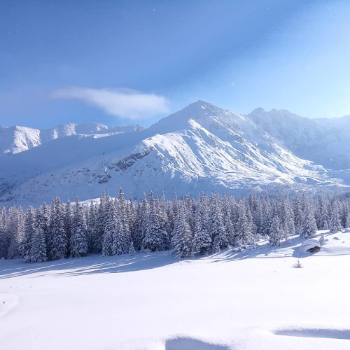 Фаина Кулаковa