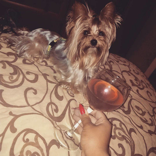 Эмилия Меркушевa