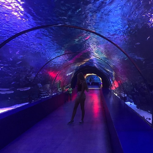 Надія Таращук