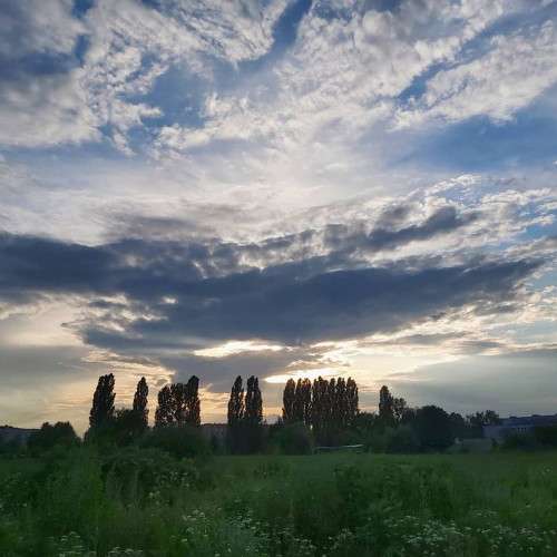 Юлія Лисенко