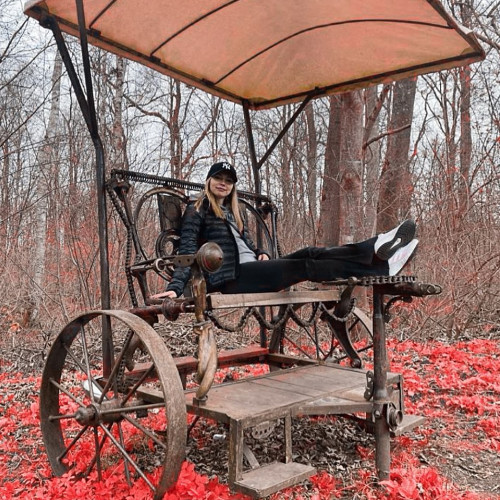 Ника Шубинa