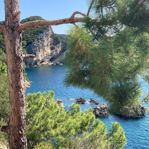 Клара Черновa