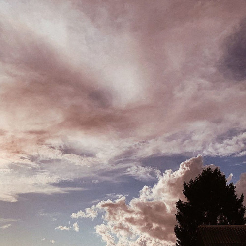 Надія Шевченко