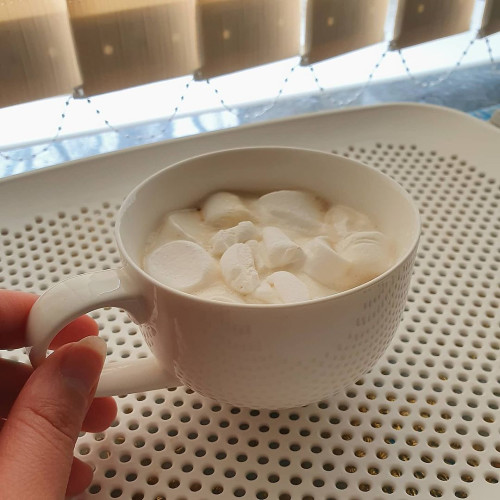 Софія Шевченко