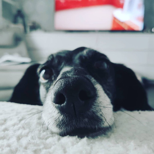 Людмила Тетеринa