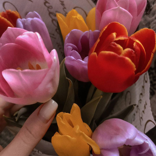 Анжелика Некрасовa