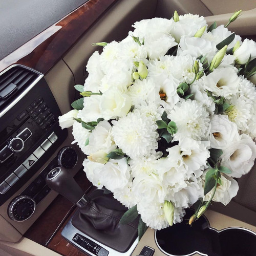 Дар'я Сергієнко