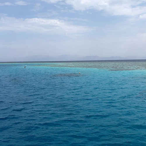 Искра Фадеевa