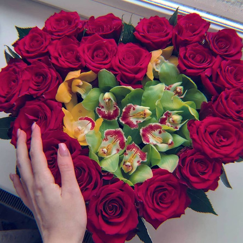 Наталья Кудряшовa