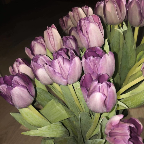 Екатерина Лаврентьевa