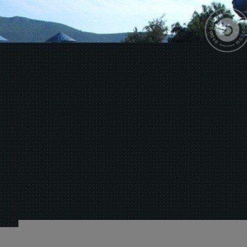 Раїса Пономаренко