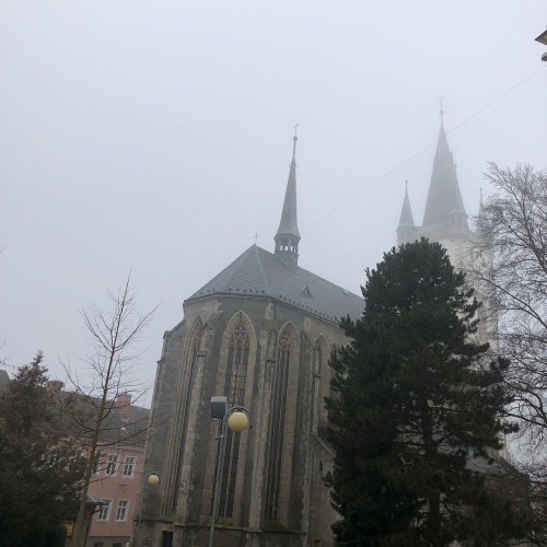 Лариса Шевченко