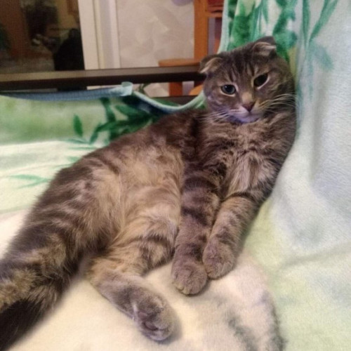 Татьяна- Татьяна