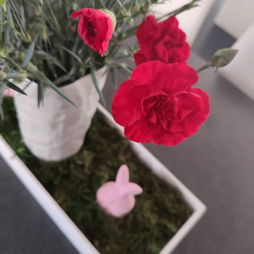 Марина Ореховa