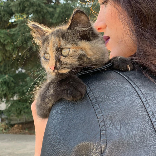 Маргарита Самсоновa