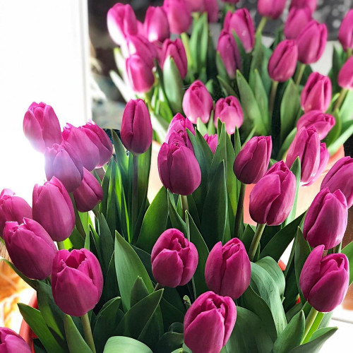 Лидия Мишинa