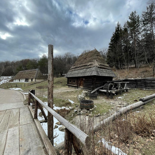 Злата Кононовa