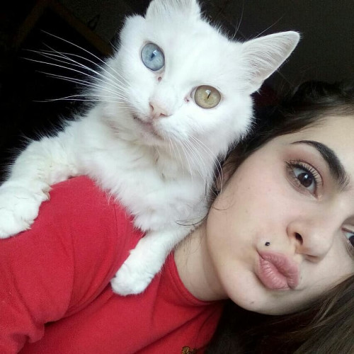 Надежда Комиссаровa