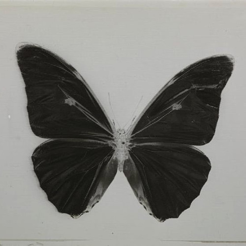 Тамара Гусевa