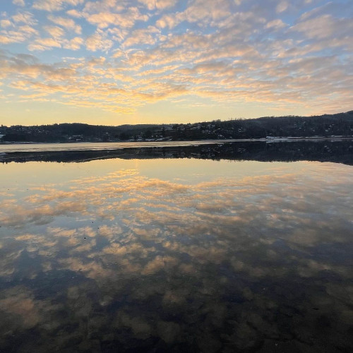 Лидия Пановa