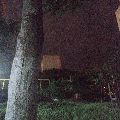 Кіра Шевченко