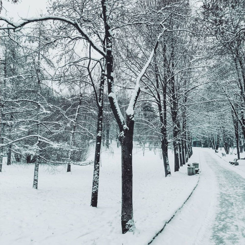 Злата Харитоновa